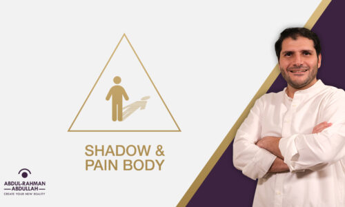 الصورة المصغرة للدورة